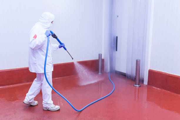 Best Driveway Pressure Washing  in Eudora, AR